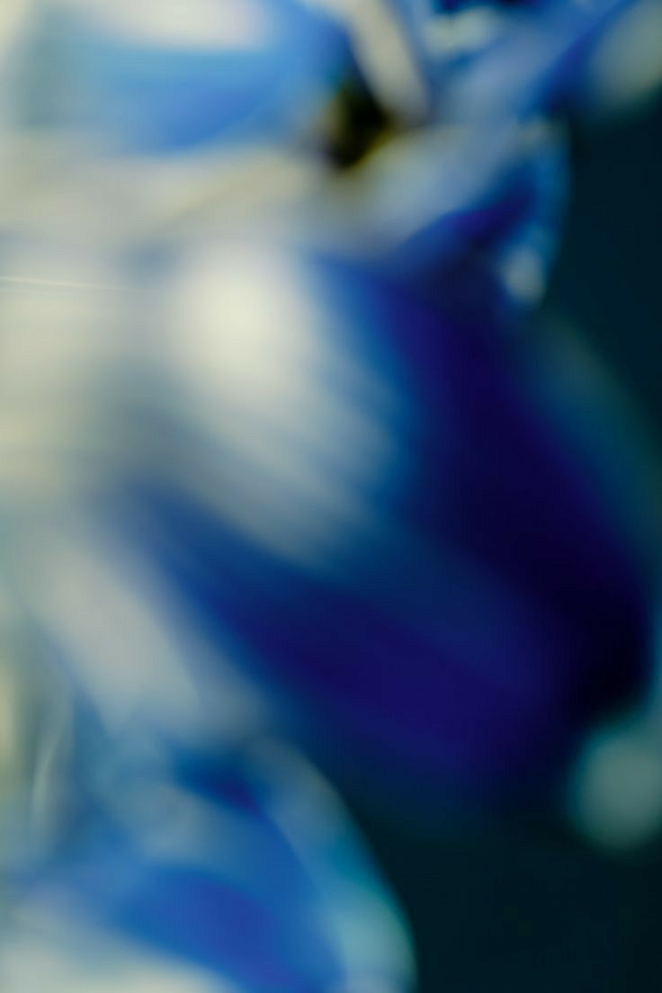 Intelligent Process Automation